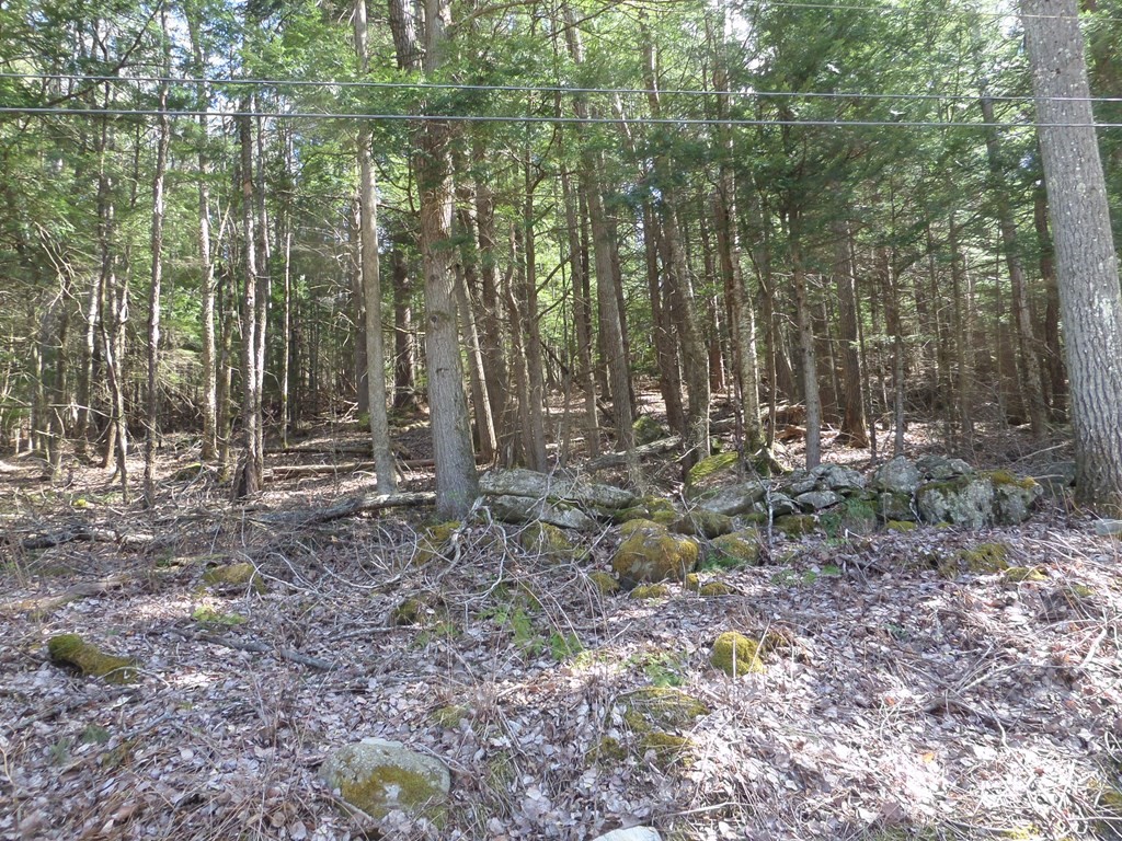 Terreno de 0 quartos em LOT 1 Thayer Hill Road, Worthington