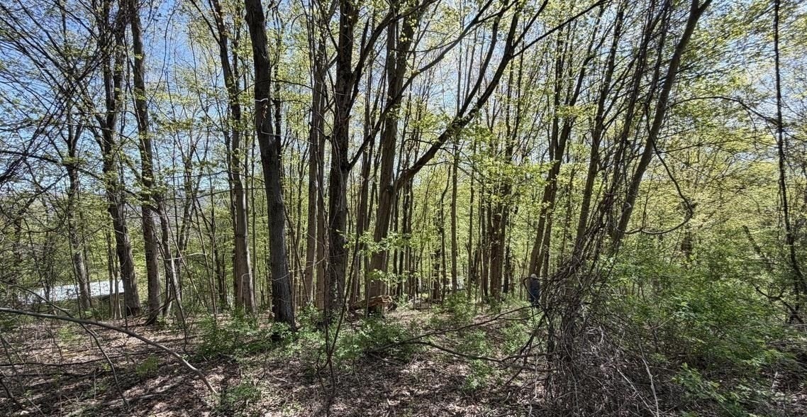 0-bed Land at Lots 2A-3A Reservoir Road, North Adams
