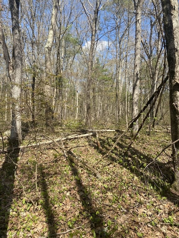 Terreno de 0 habitaciones en 395 Belchertown Rd, Ware
