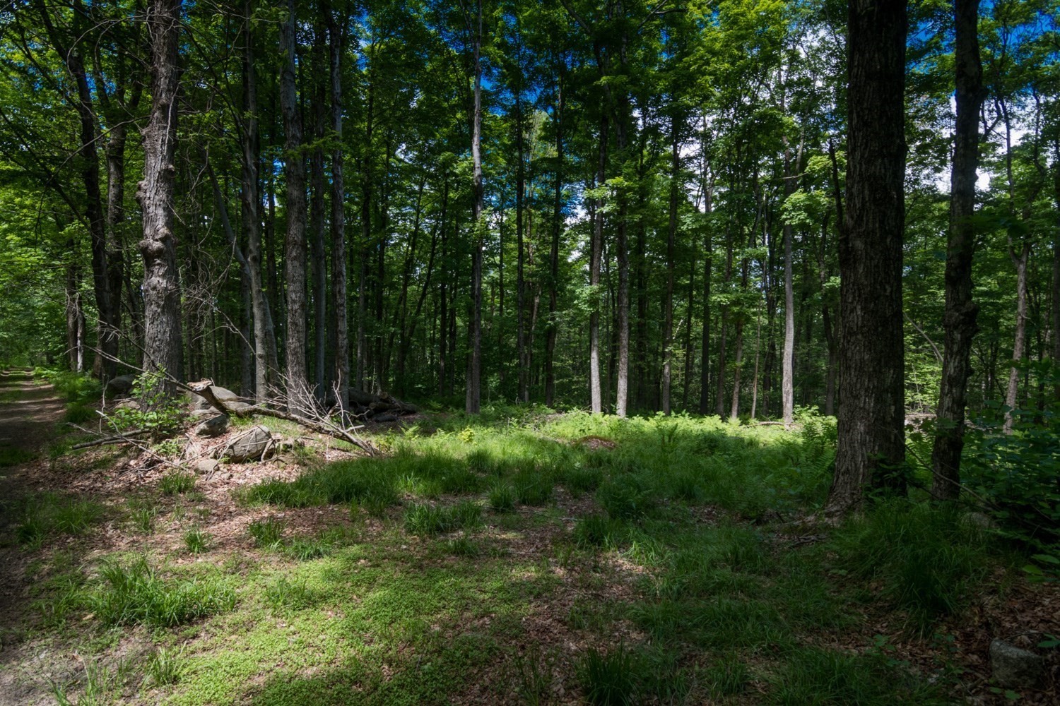 0-bed Land at 91 Lynes Rd, Chester
