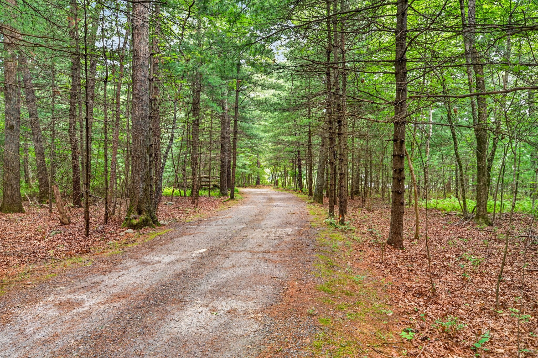 0-bed Land at 78 S Main St, Berkley