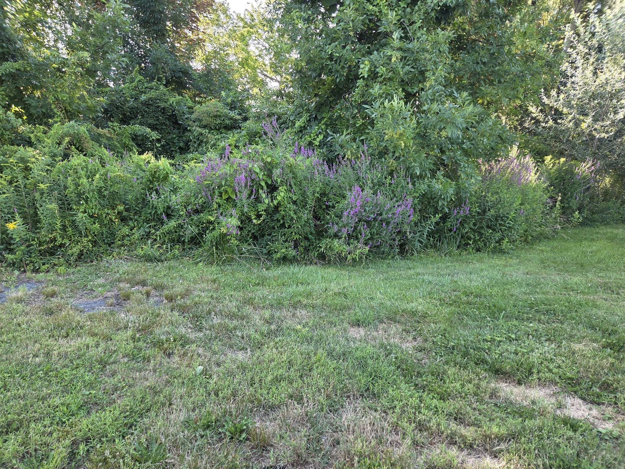 0-bed Land at 0 River Rd E, Berlin
