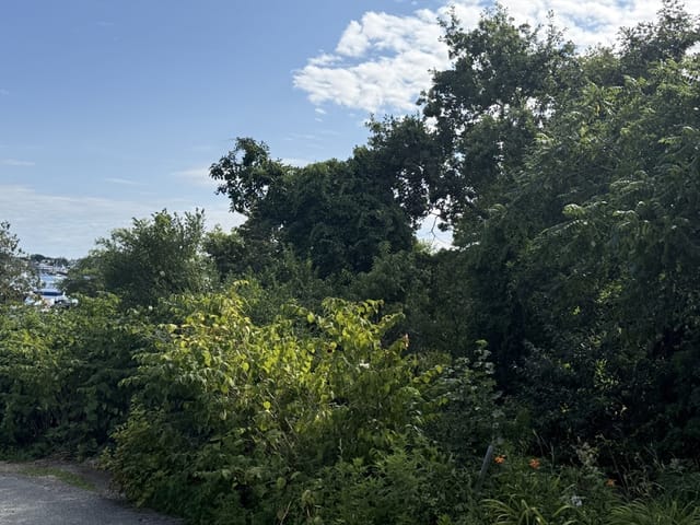 0-bed Land at 4 Scott St, Gloucester