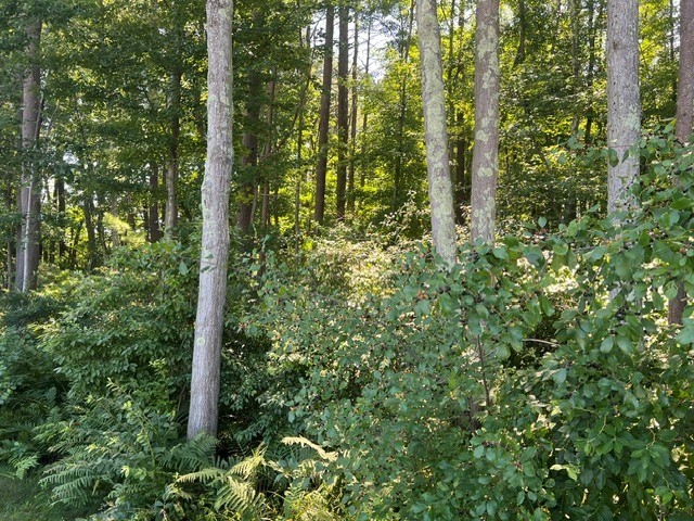0-bed Land at 0 Fairview Avenue, Athol
