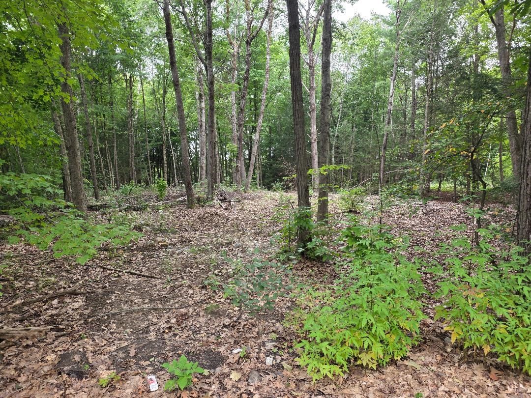 0-bed Land at 97-LOT Petersham Road, Athol