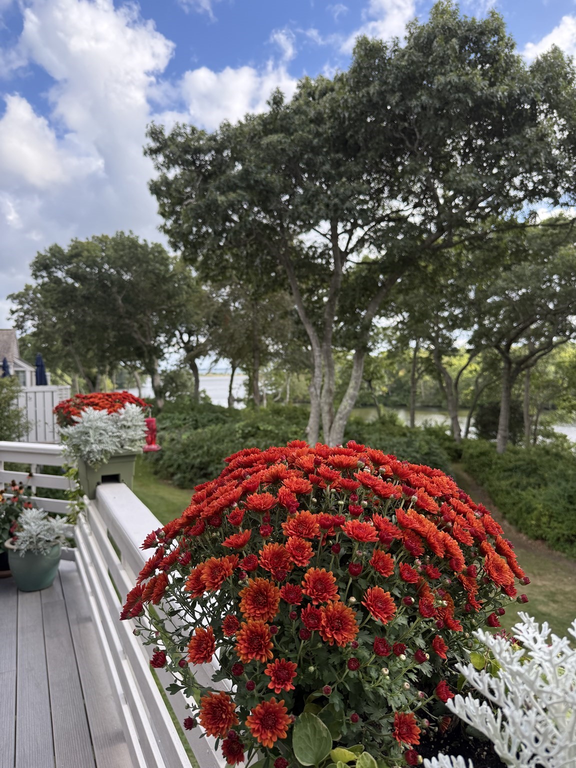 2-bed Condo at 34 Landfall # 34, Falmouth
