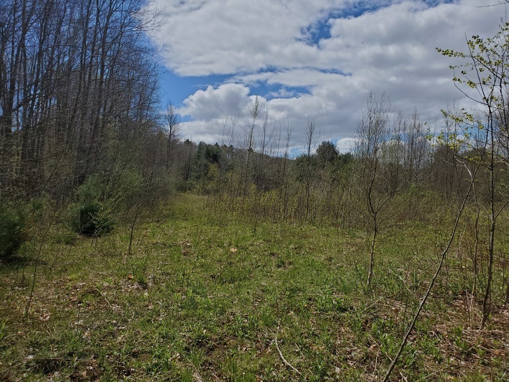 0-bed Land at 61 Bates St, North Brookfield