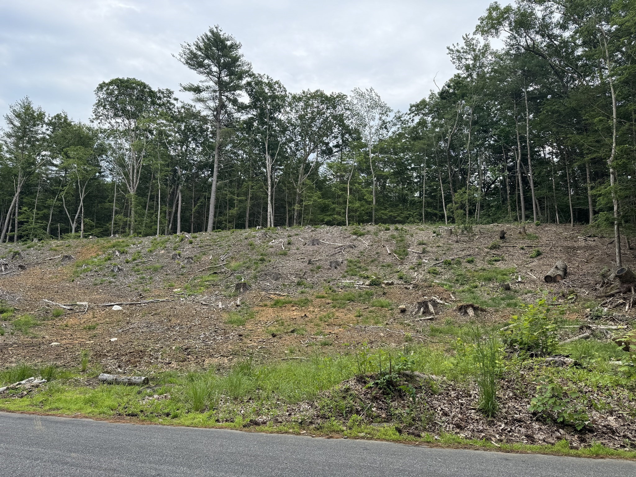 Terreno de 0 quartos em 0 Alpine, Southbridge