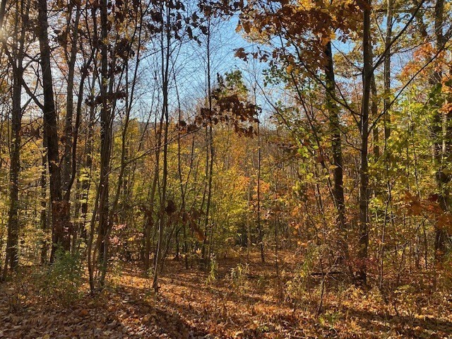 0-bed Land at 539 Fox Hill Road, Bernardston
