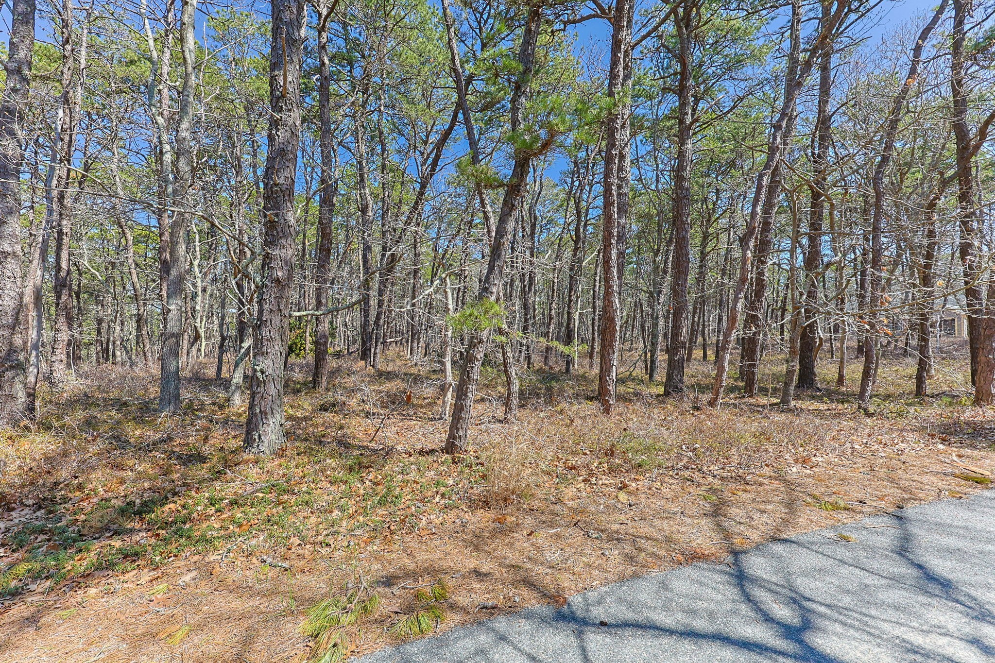 Terreno de 0 quartos em 175 Delphi Path, Wellfleet