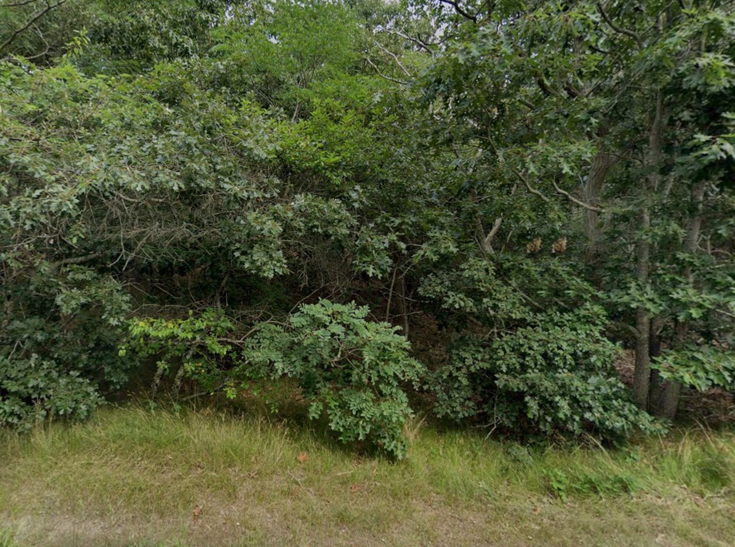 Terreno de 0 quartos em 415 Cove Rd, Wellfleet