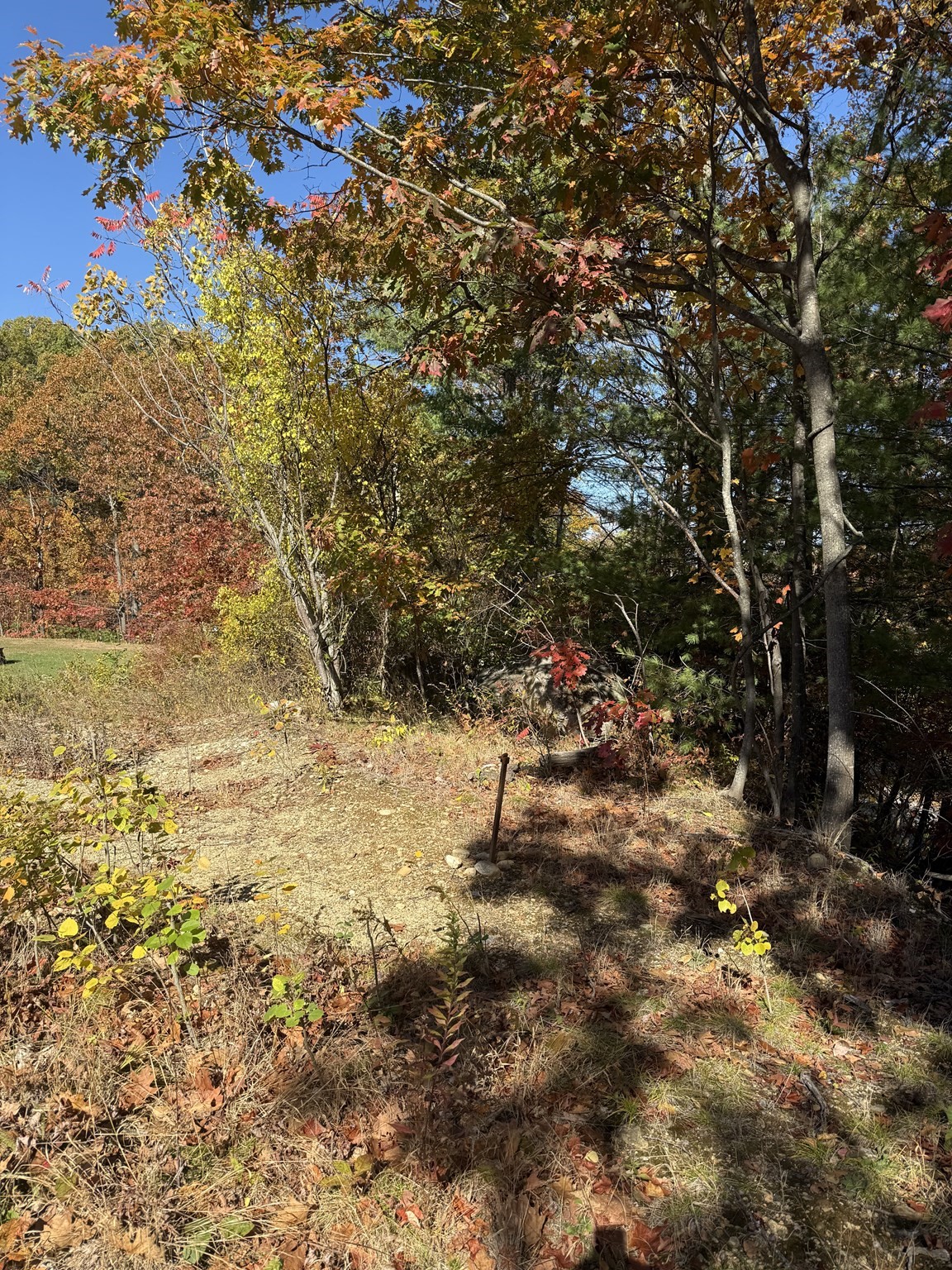 0-bed Land at Lot 2 Birch St, Leominster