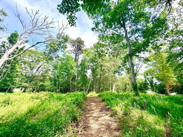 Terreno de 0 quartos em 52 Heath Hen Ln., Tisbury
