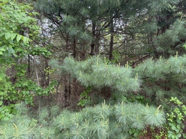Terreno de 0 quartos em 0 Marina Dr, Mattapoisett