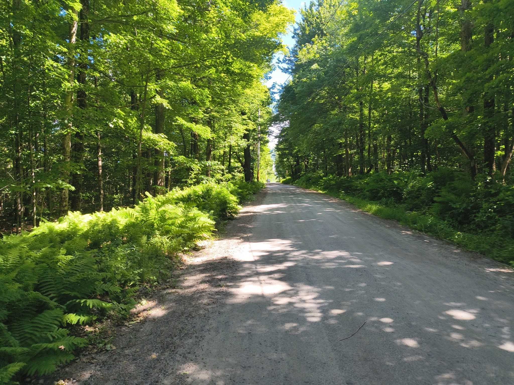 0-bed Land at lot1 Holcomb Road, Chester
