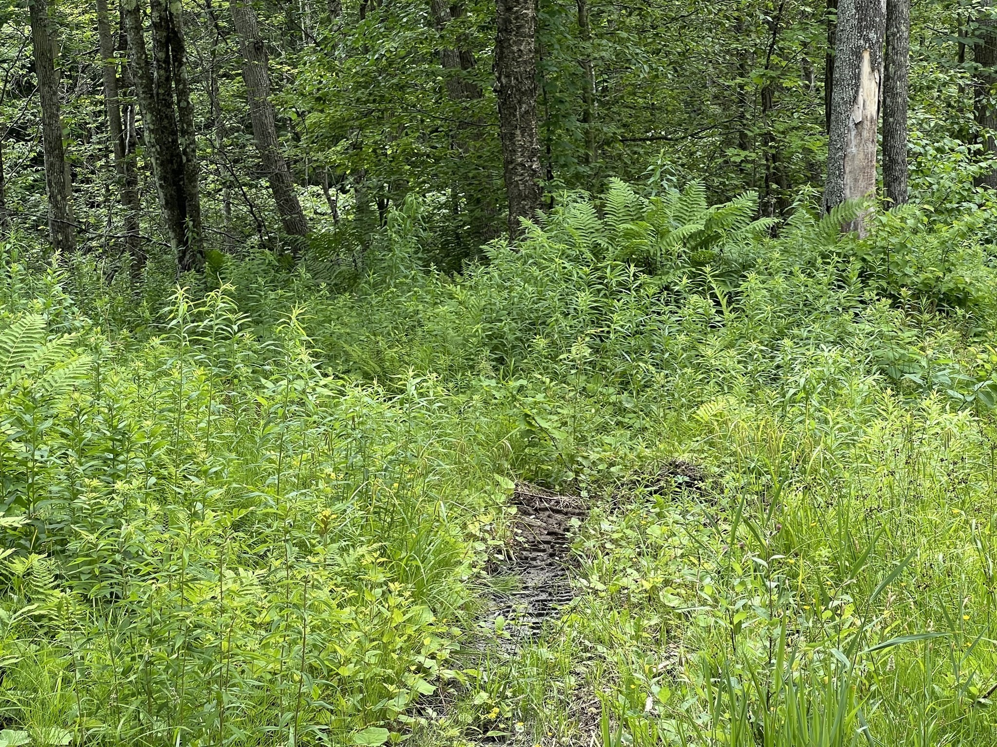 0-bed Land at Lot 21 Becket Rd, Middlefield