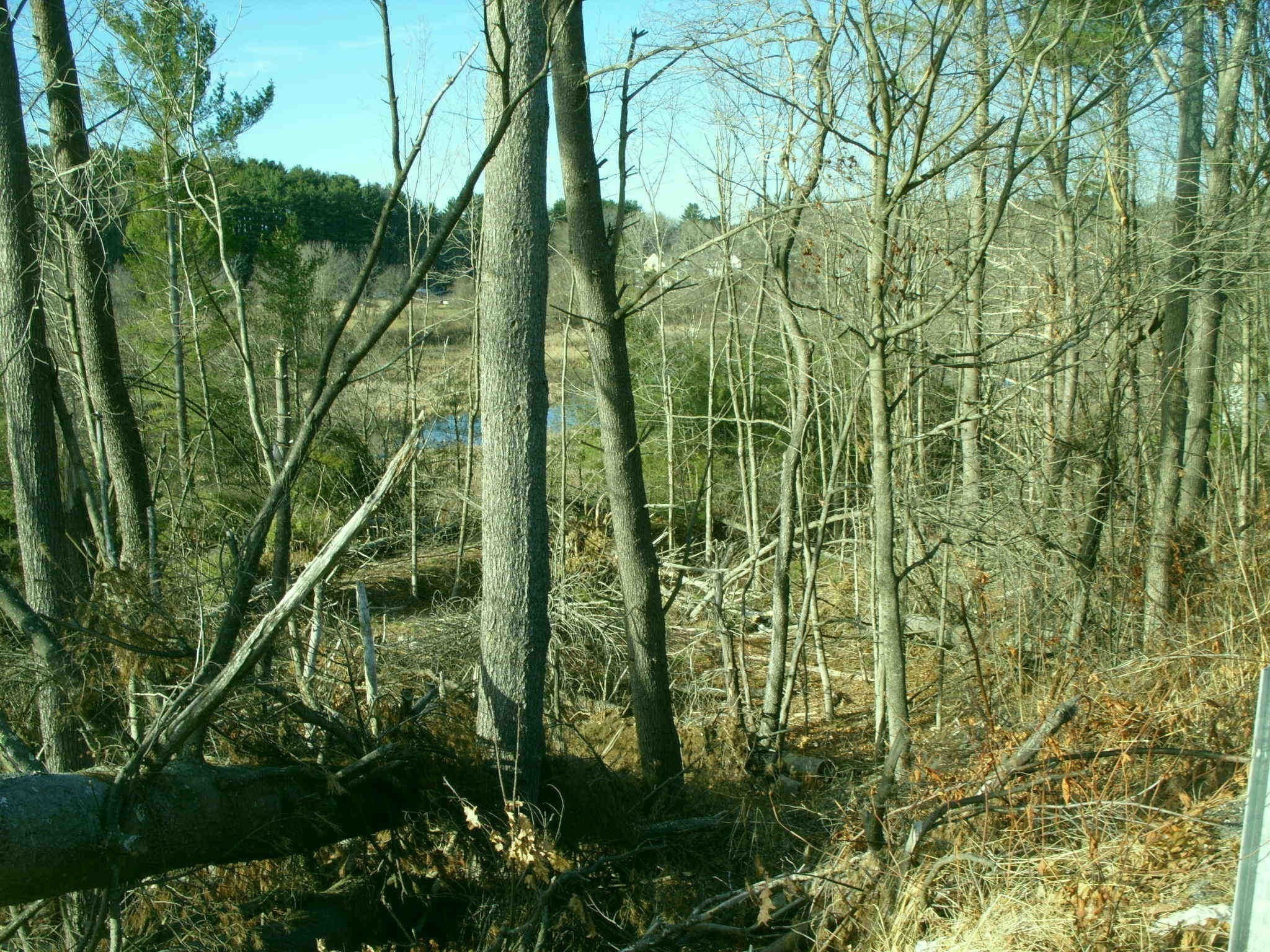Terreno de 0 habitaciones en 235 Main Street, Sturbridge