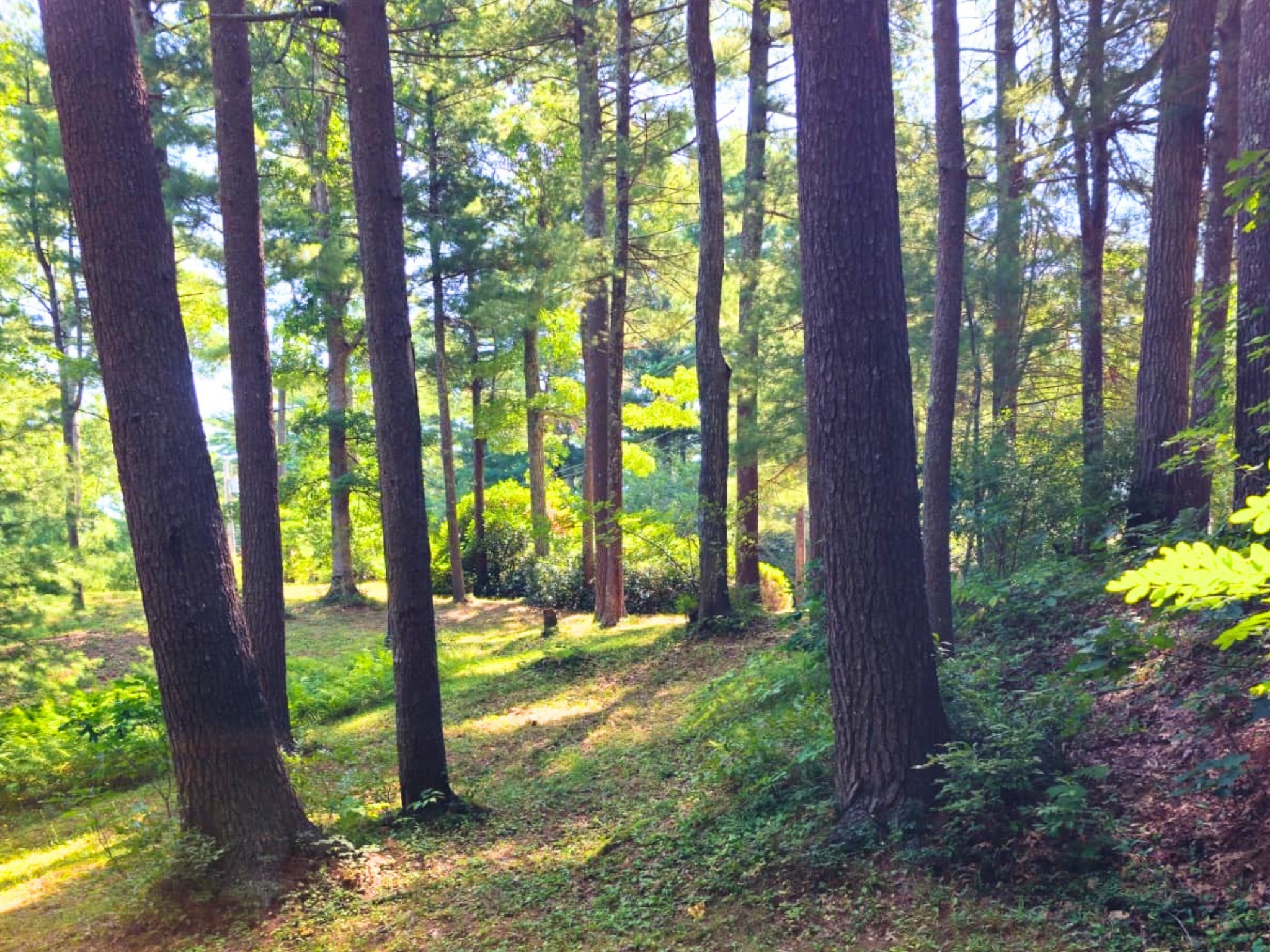 0-bed Land at 0 Nel Bonney Road, Plympton