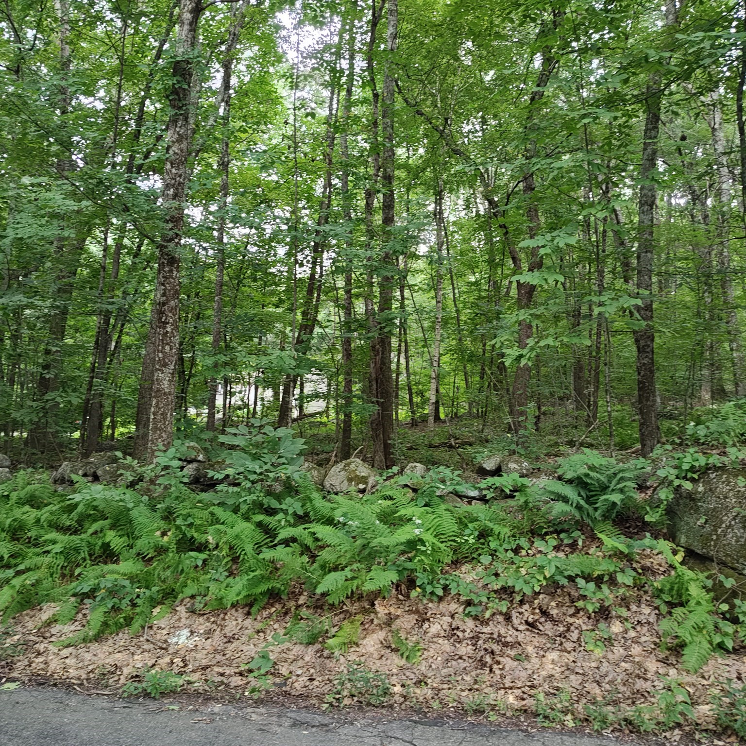 0-bed Land at 0 Old West Brookfield Rd, Warren