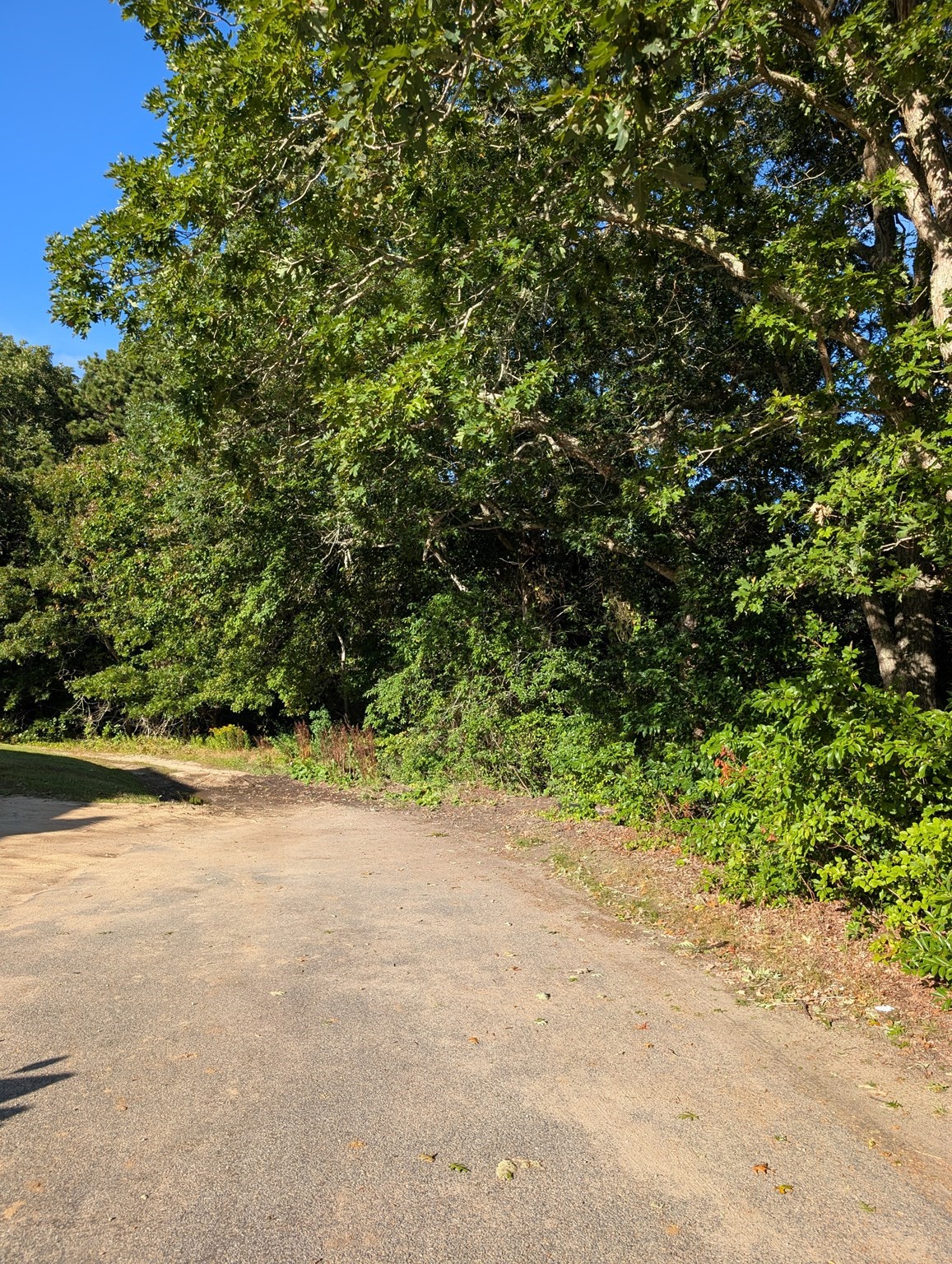 Terreno de 0 quartos em Lot 2-B Pondview Ave, Yarmouth